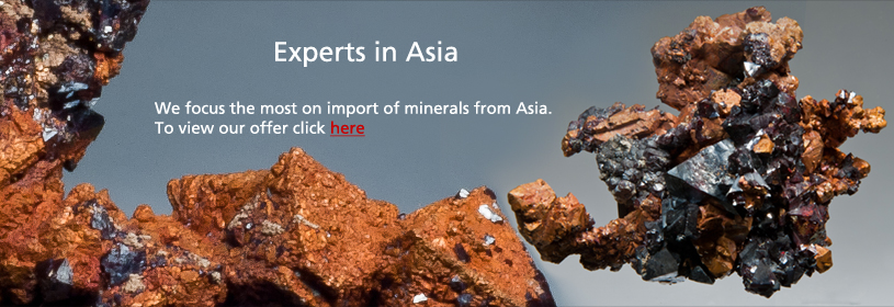 Experts in Asia