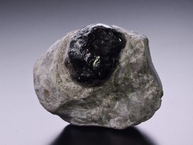 ark obsidian north west