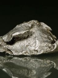 Meteorit