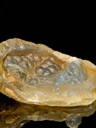 Chalcedon