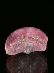 Rubelit - houba