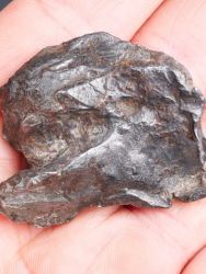 Meteorit