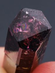 Rubelit