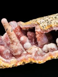 Chalcedon