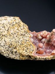 Chalcedon