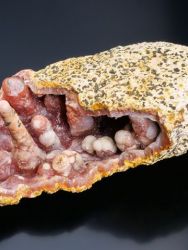 Chalcedon
