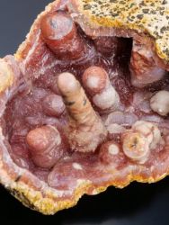 Chalcedon