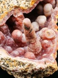Chalcedon