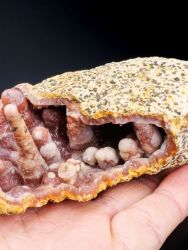 Chalcedon