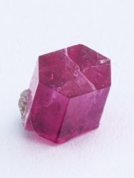Bixbit