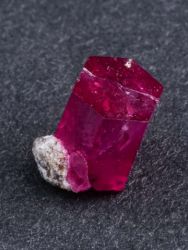 Bixbit