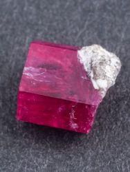 Bixbit