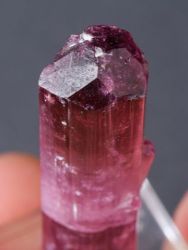 Rubelit