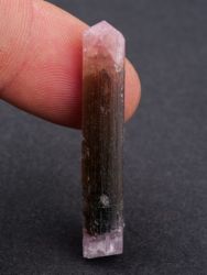 Liddicoatit