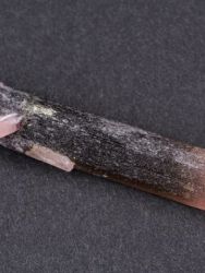 Liddicoatit