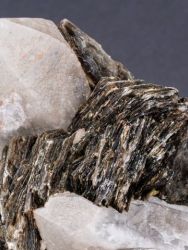 Záhněda, cinvaldit